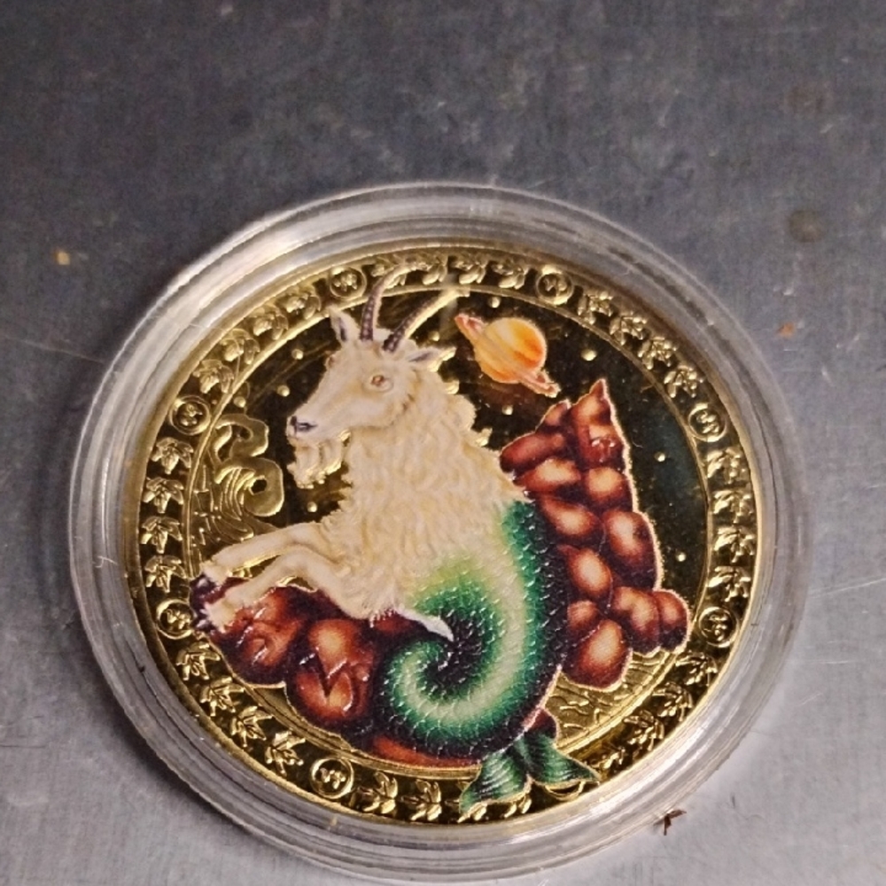 Colorful Zodiac Capricorn Coin